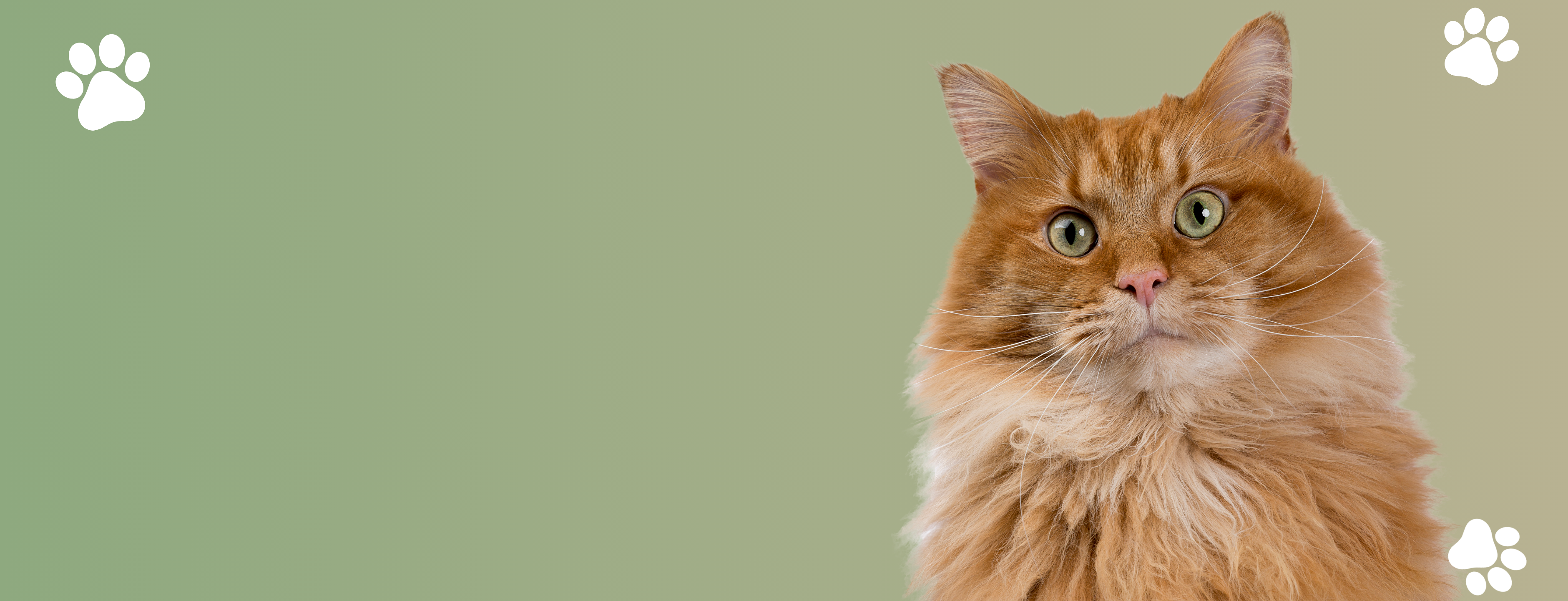 slider image 1621243260e1af0c20-0