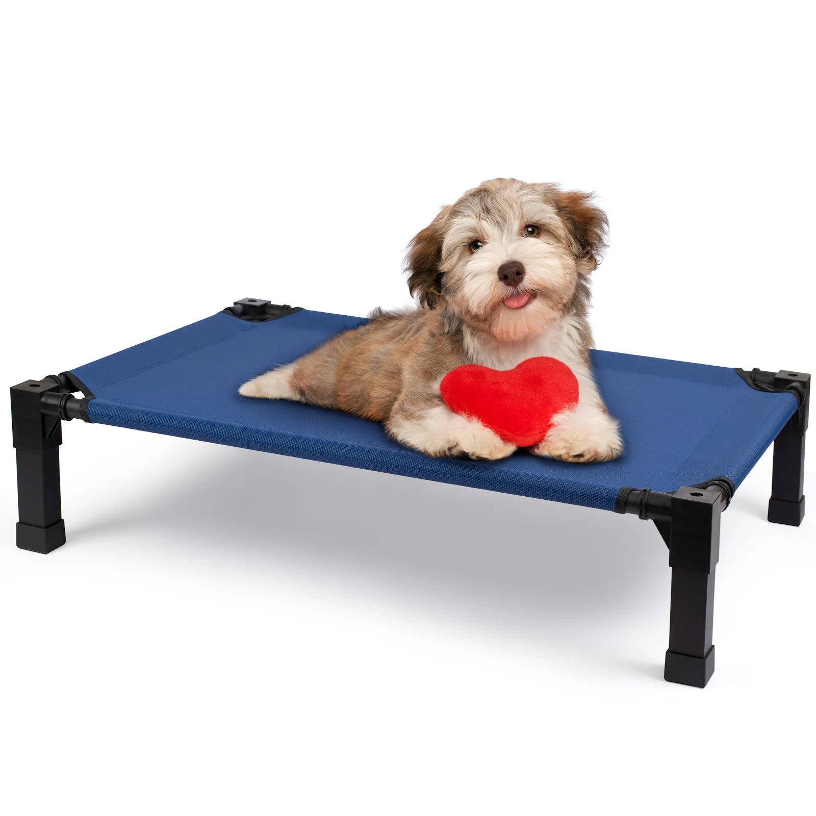 Raised pet beds with breathable mesh