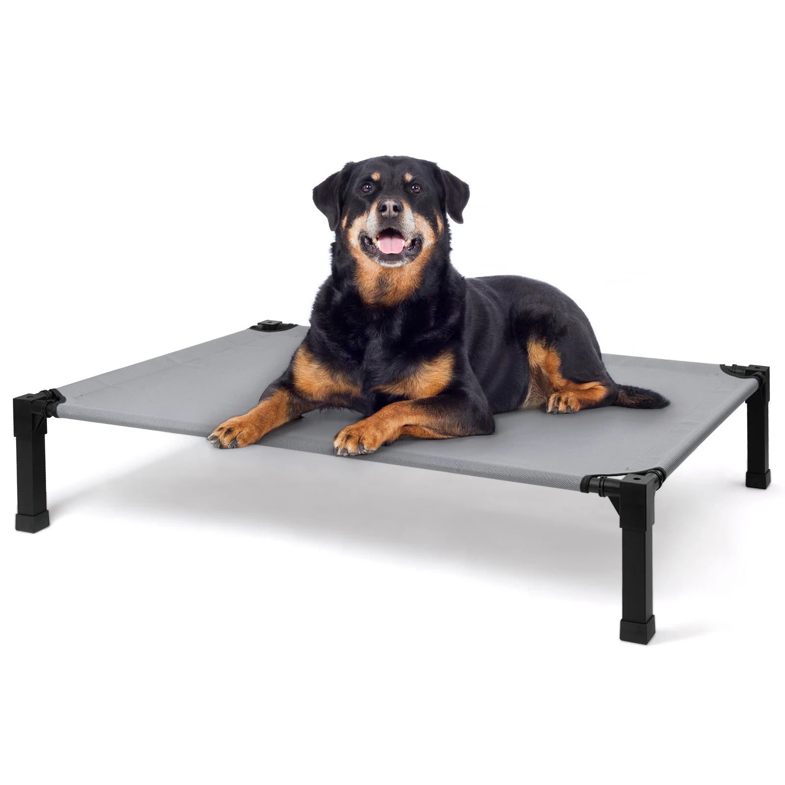 Raised pet beds with breathable mesh