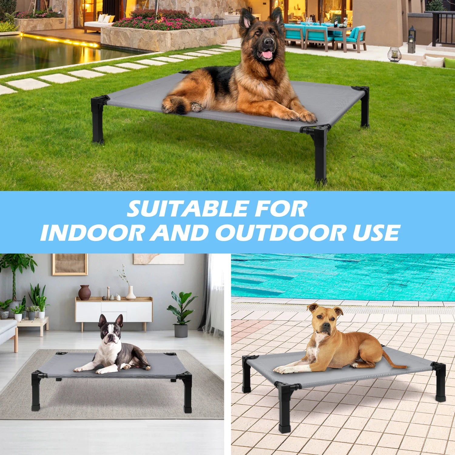 Raised pet beds with breathable mesh