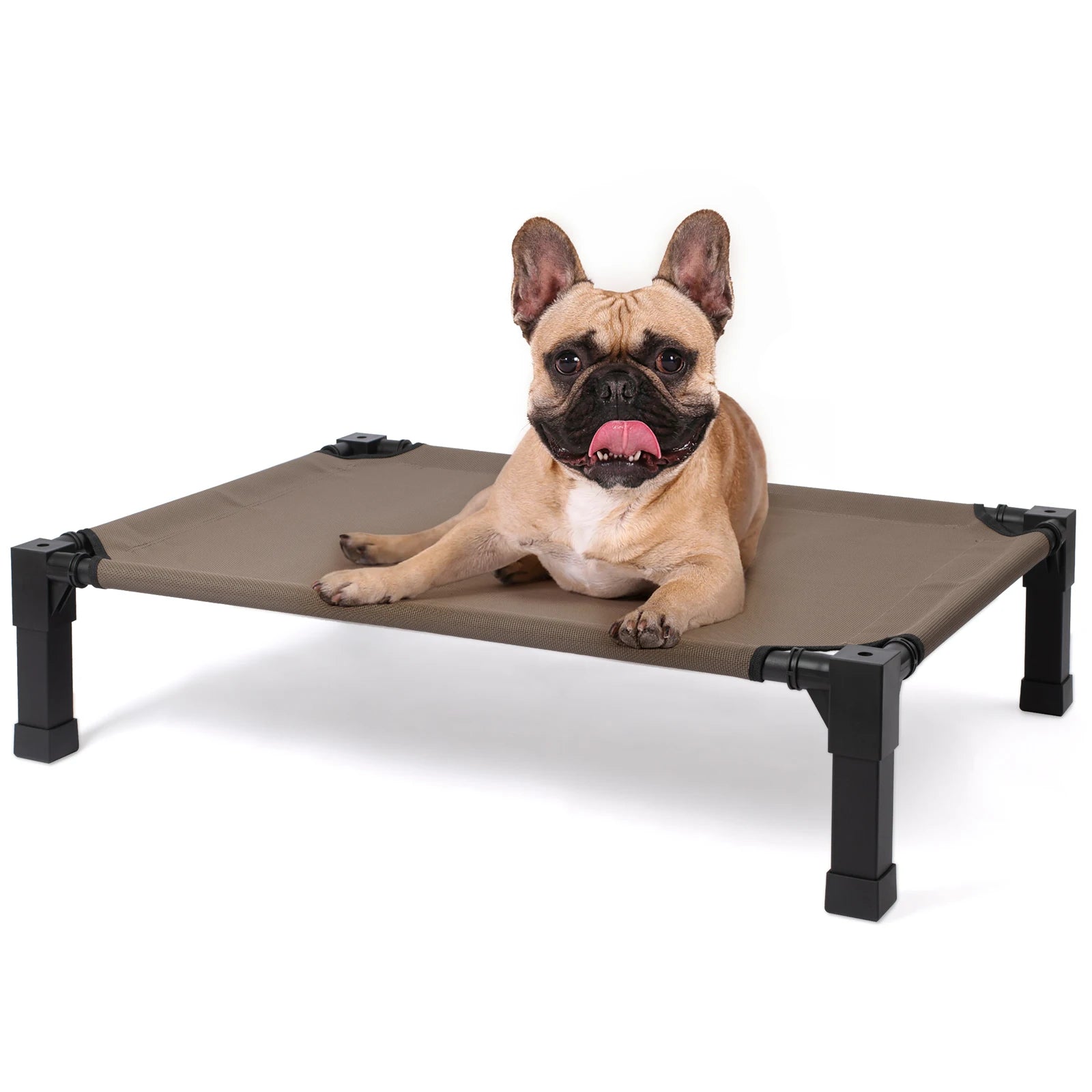 Raised pet beds with breathable mesh